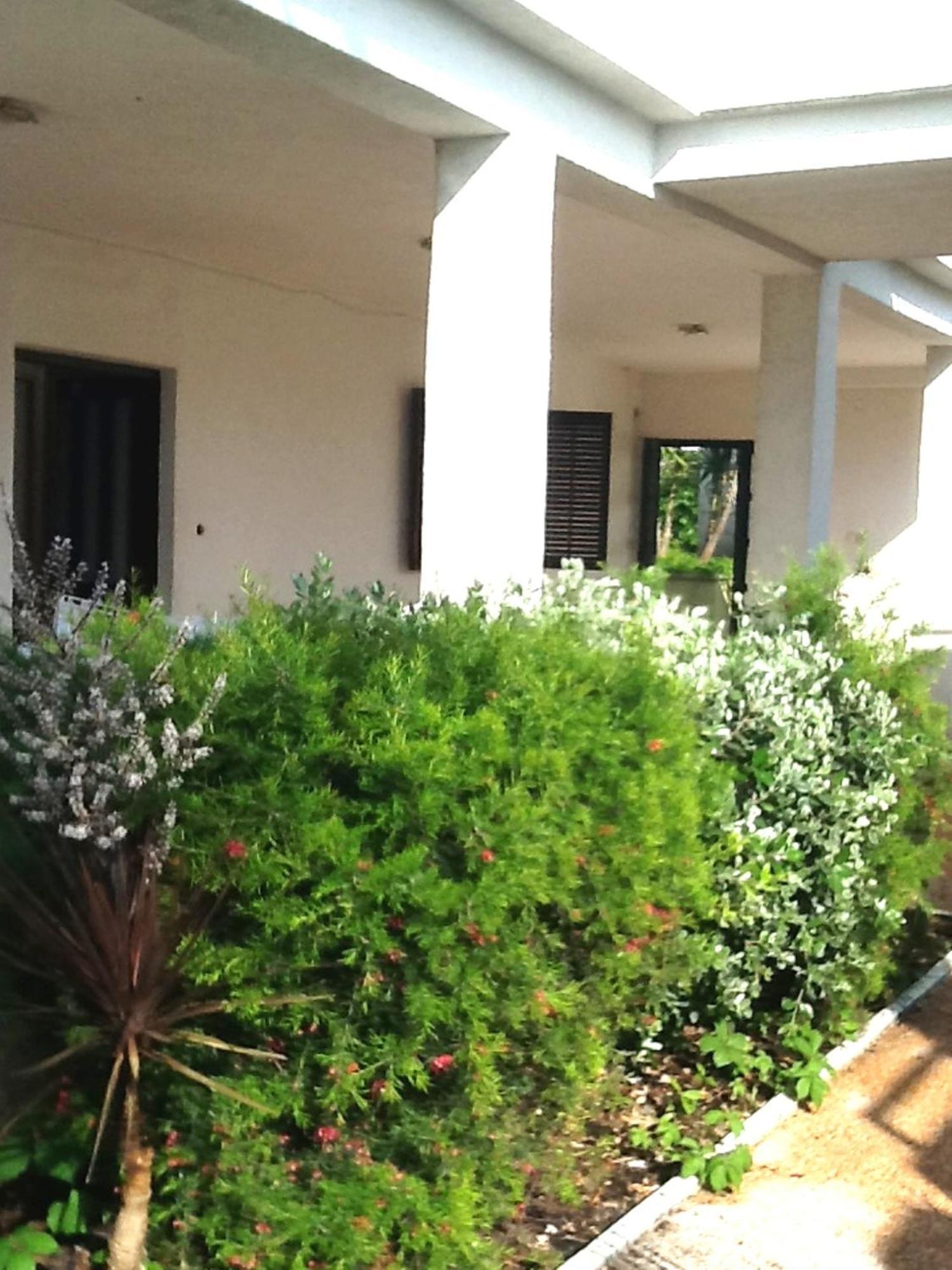 Villa Tamaris On The Beach Podstrana Exterior foto